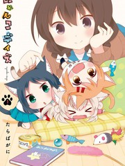 貓咪日常