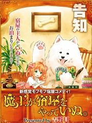 魔汪在開招待所