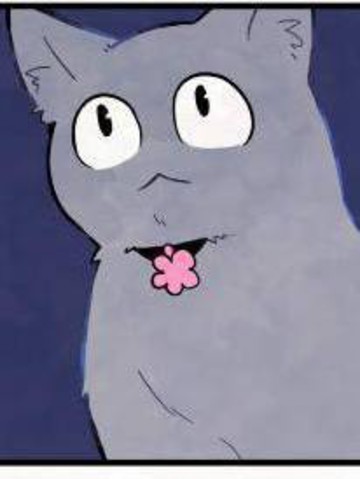 貓與鼻炎