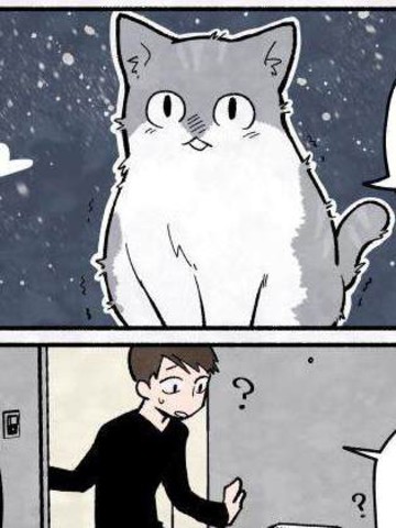 貓的報恩