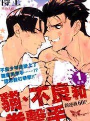 貓、不良和拳擊手