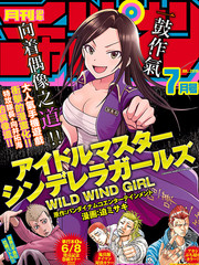 偶像大師 灰姑娘女孩WILD WIND GIRL