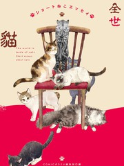 全世貓