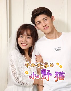 邵叔叔家的小野貓