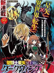 聖鬥士星矢冥王異傳漆黑之翼