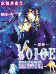 VOICE聲音