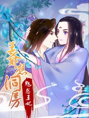 王爺想洞房：魅惑王妃