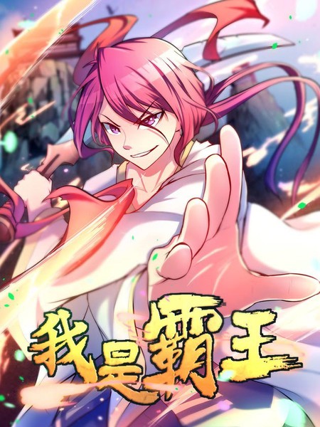 我是霸王