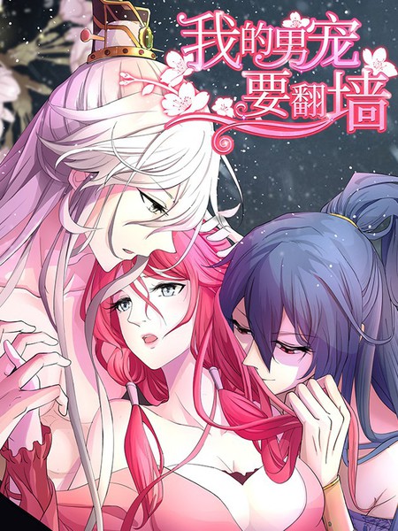 我的男寵要翻牆
