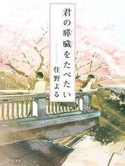 我想吃掉你的胰臟-輕小說