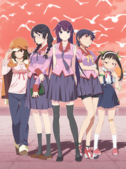 物語系列-輕小說