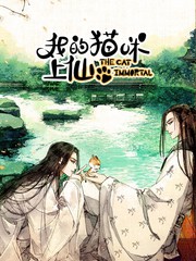 我的貓咪上仙