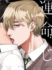 我們不是命定之番