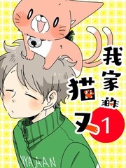 我家的貓又