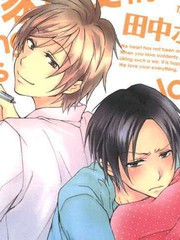 小說家的愛情生活