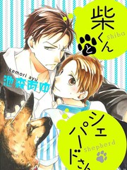 小柴與牧羊犬先生