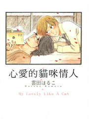 心愛的貓咪情人
