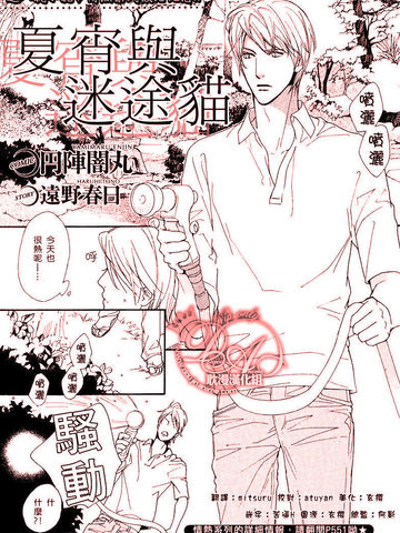 夏宵與迷途貓