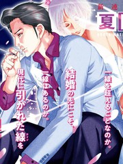 夏目新的結婚