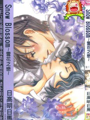 雪花之戀SnowBlossom