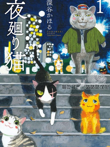 夜巡貓