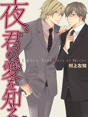 夜晚讓我明白了你的愛[系列2]