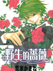 野生的薔薇