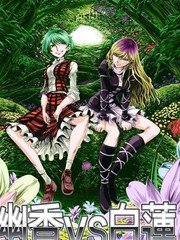 幽香vs白蓮RESOLUTION