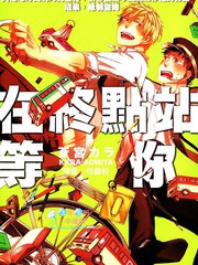 在終點站等你