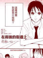 在雨後的街道上