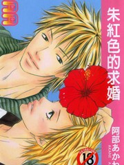硃紅色的求婚