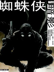 蜘蛛俠：暗影