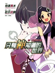 只有神知道的世界-輕小說