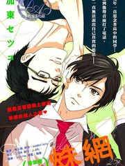 蛛網