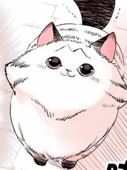 轉生貓貓